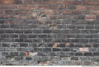 wall bricks old damaged 0002